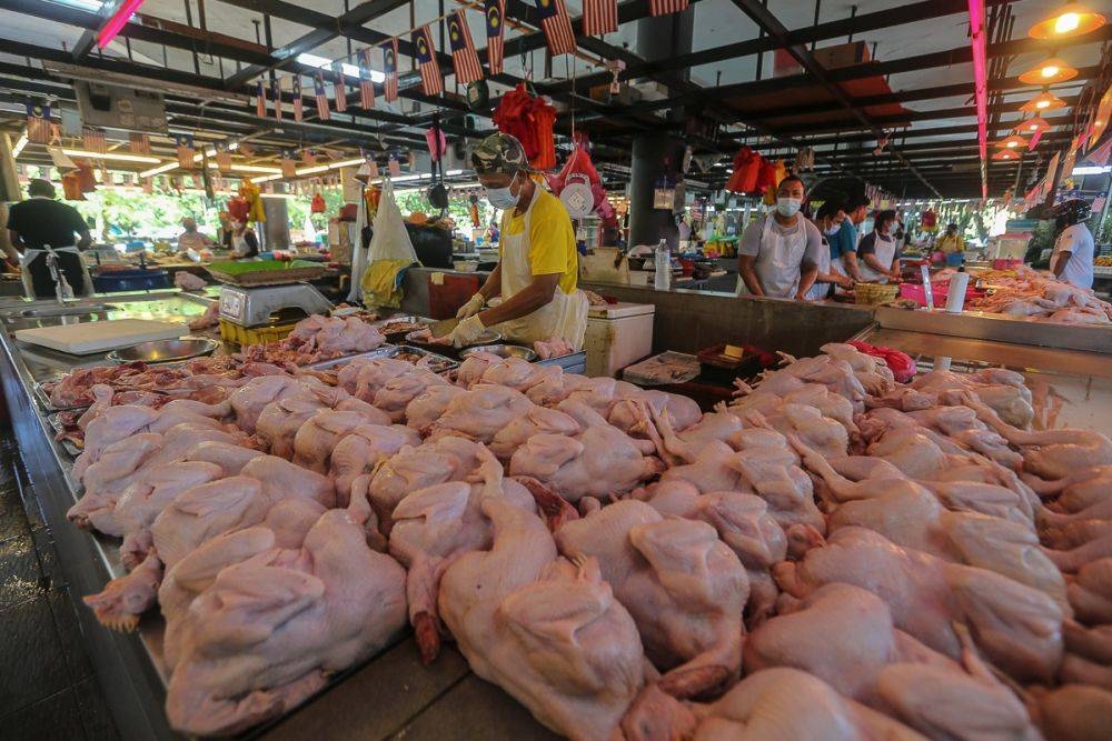 利益相关者警告说，减少食品进口的AP可能会危及马来西亚的生产马来邮件 – 马来邮件