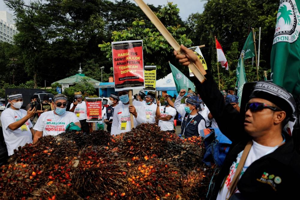 Indonesian palm oil farmers take part in a protest demanding the government to end the palm oil export ban, outside the Coordinating Ministry of Economic Affairs office, in Jakarta, Indonesia May 17, 2022. ― Reuters file pic