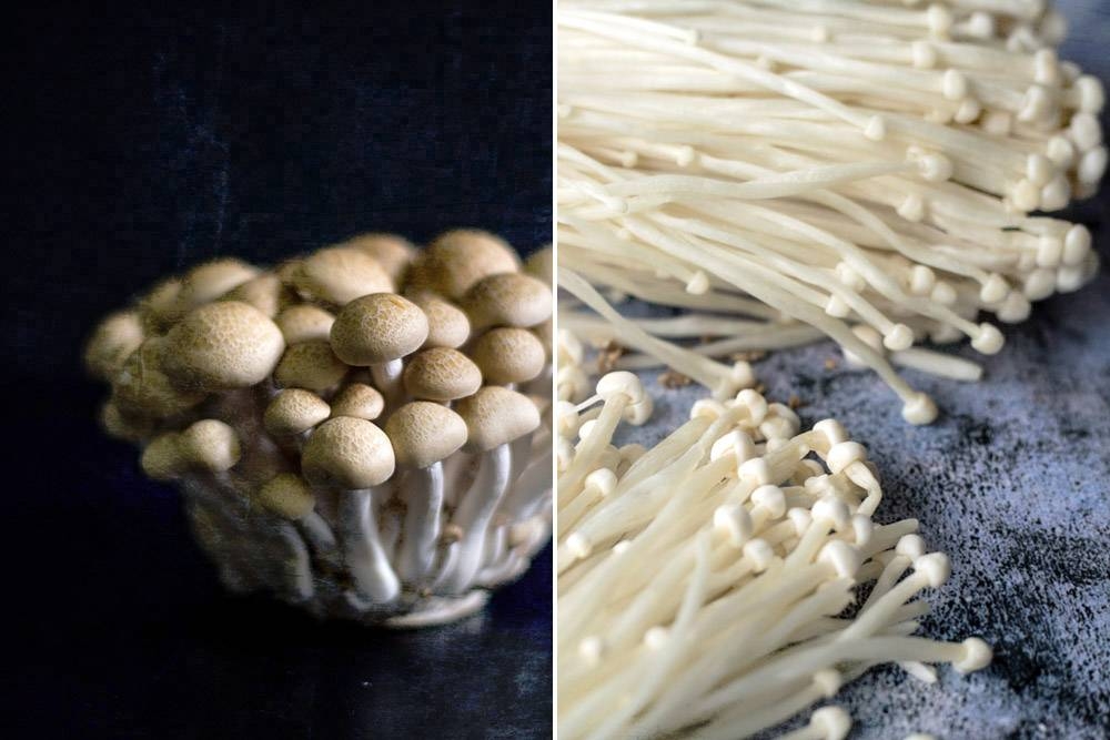 Use a variety of mushrooms.