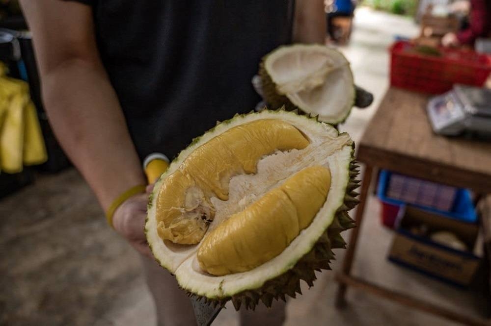 A worker showing the seeds of a durian fruit at a shop in Malaysia. — AFP pic 