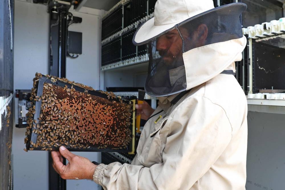 A beekeeper works on new high-tech beehives, part of the Beehome project, in Israel’s Kibbutz Bet Haemek in the northern Galilee, on May 14, 2022. ― AFP pic