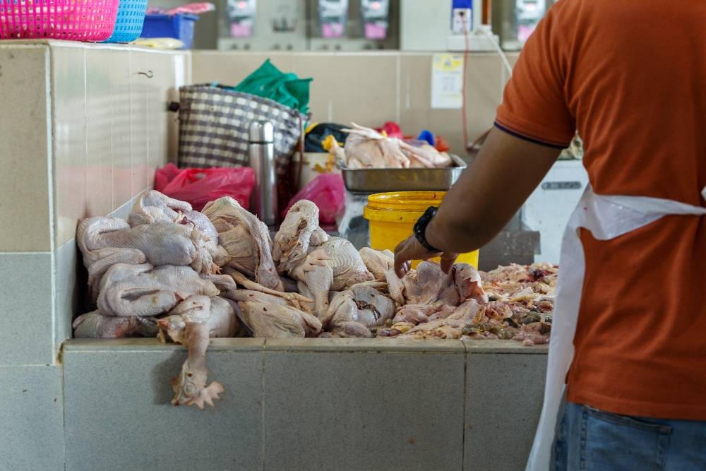 Traders are plagued by chicken supply disruptions at a wet market in Jalan Othman, Petaling Jaya May 22, 2022. - Picture by Devan Manuel