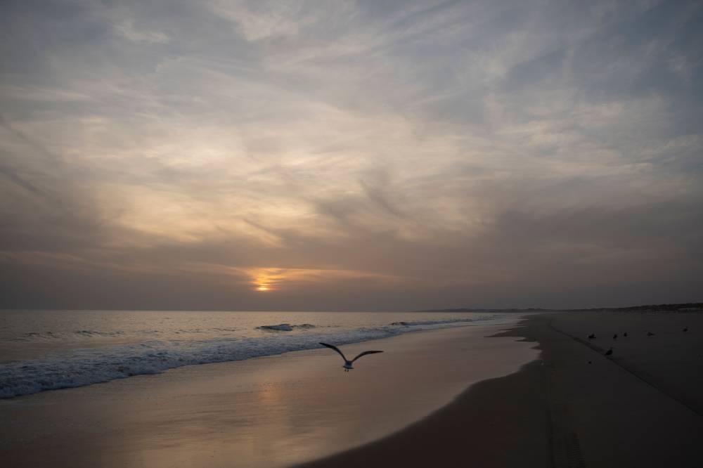 A seagull flies over the beach at the Donana Natural Park in Matalascanas, Huelva, on May 19, 2022. — AFP pic