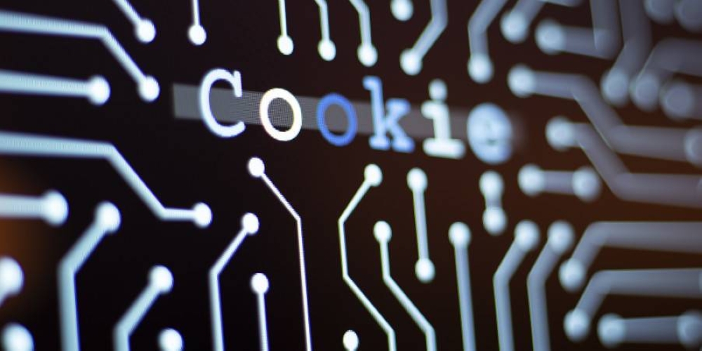 Are cookies a friend or a foe for internet users?