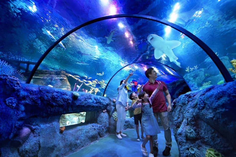 Legoland Malaysia’s Sea Life attraction is another tourist pull as it offers a glimpse of aquatic life as part of the integrated one-stop resort. — Picture courtesy of Legoland Malaysia