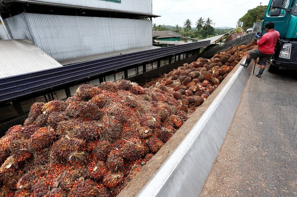 Zuraida says strengths of Malaysian Sustainable Palm Oil standard often overlooked - Vimarsana News