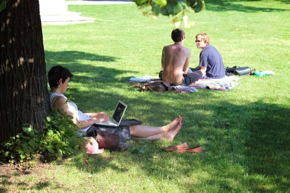 Beyond 'Wiener Schnitzel': An Austrian summer lunch in sunny Vienna - Vimarsana News