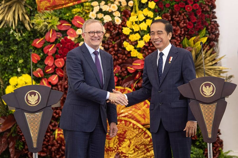 Australian Prime Minister Anthony Albanese shakes hands with Indonesian President Joko Widodo during a news conference following their meeting at the Presidential Palace in Bogor, Indonesia, June 6, 2022, in this photo taken by Antara Foto. — Antara Foto/Sigid Kurniawan via Reuters
