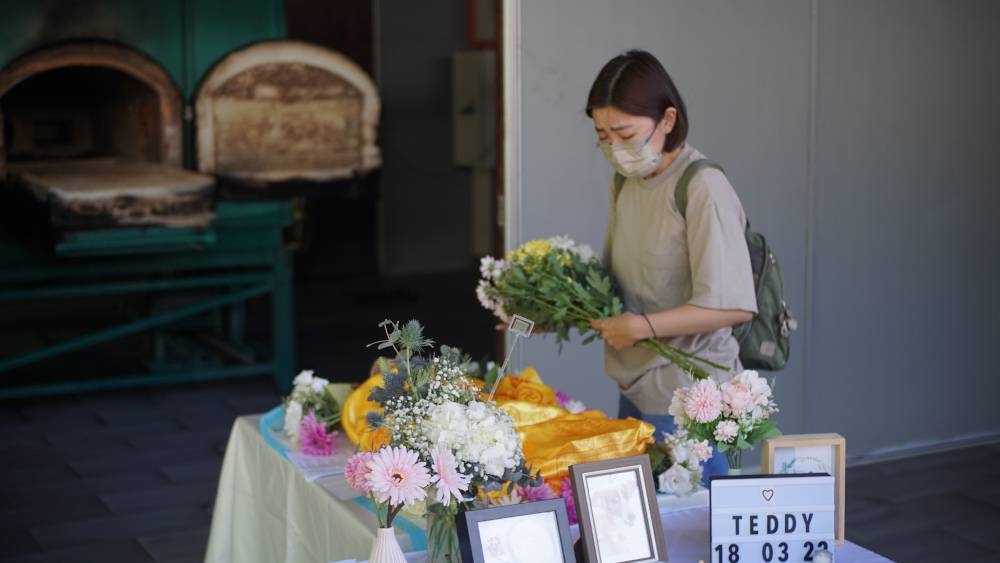 A pet owner performing the final rites before her beloved pet is cremated. — Picture courtesy of Piepie Memorial