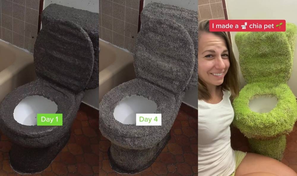 US YouTuber enthrals social media by covering toilet in chia seeds and letting it grow in the name of art (VIDEO)