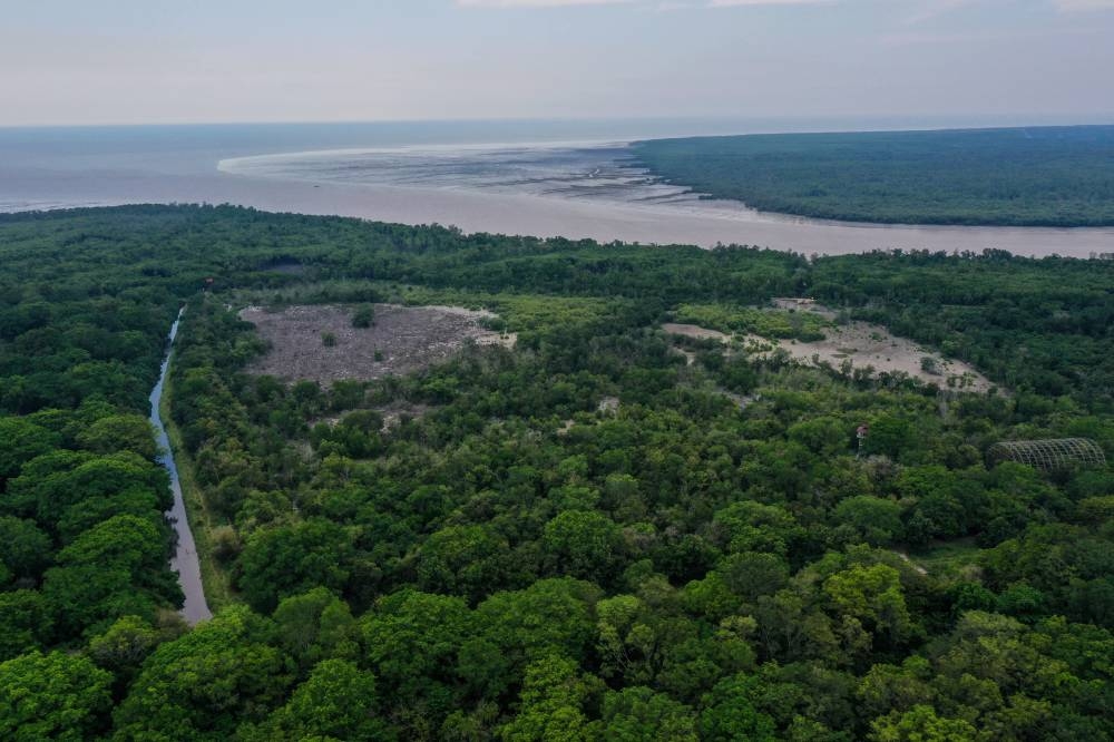 Situated on the estuary of Sungai Selangor and adjacent to Bukit Melawati, about 60 kilometres from Kuala Lumpur, the wetlands sanctuary is well known as a transition point for migratory birds. — Bernama pic