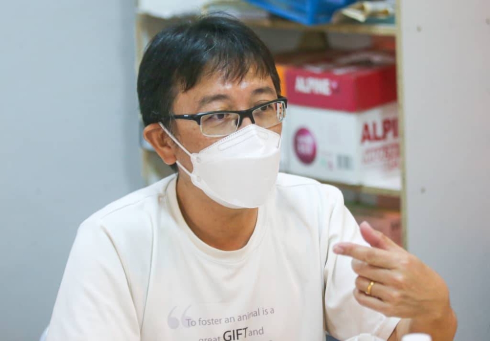 Persatuan Pencinta Haiwan Jalanan Kampar committee member Kenneth Tan said ideally every parliamentary constituency should have an organisation that looks after animal welfare. — Picture by Farhan Najib
