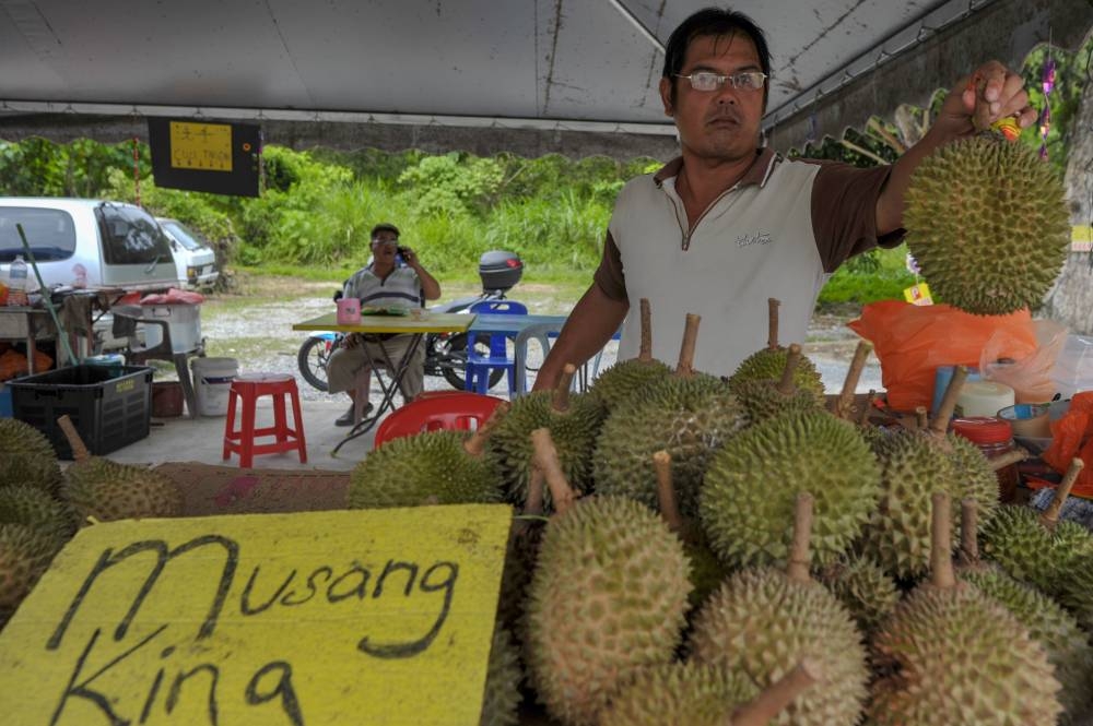 Your next Musang King durian could soon come with a Sirim certification - Vimarsana News