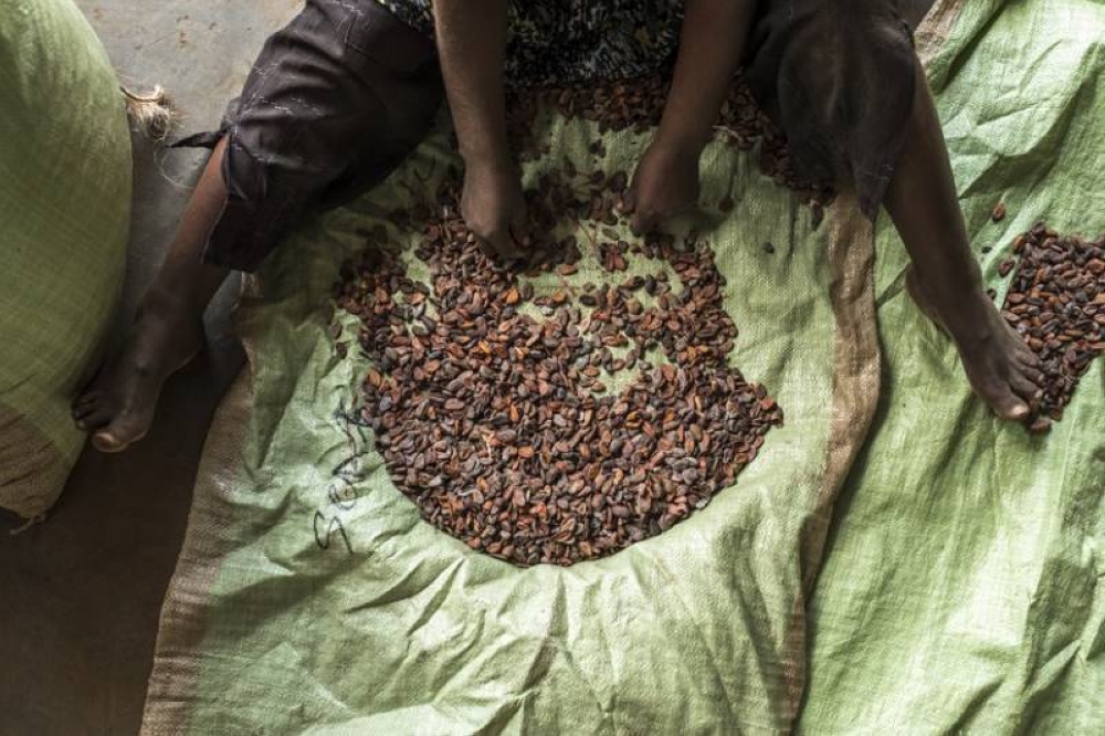 Malaysian Cocoa Board: Exports of cocoa, chocolate products rise to RM6.9b in 2021