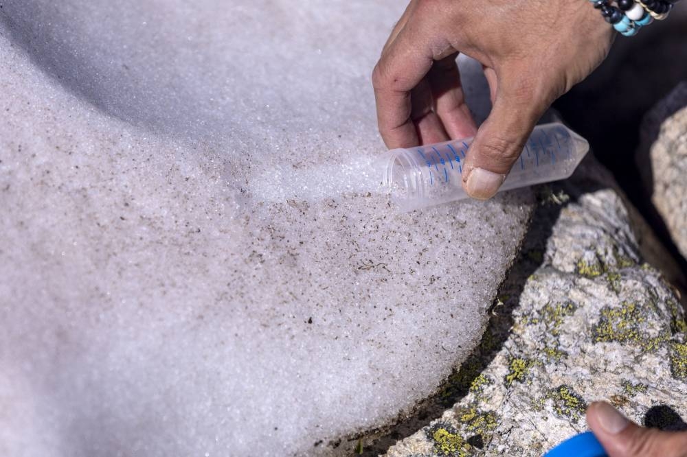 Alberto Amato, researcher in genetics at the Cell and Plant Physiology Laboratory at CEA, takes a sample of Sanguina nivaloides algae, also known as ‘snow blood’ and which presence accelerates snowmelt, at the Brevent in Chamonix, France, June 14, 2022. — Reuters pic
