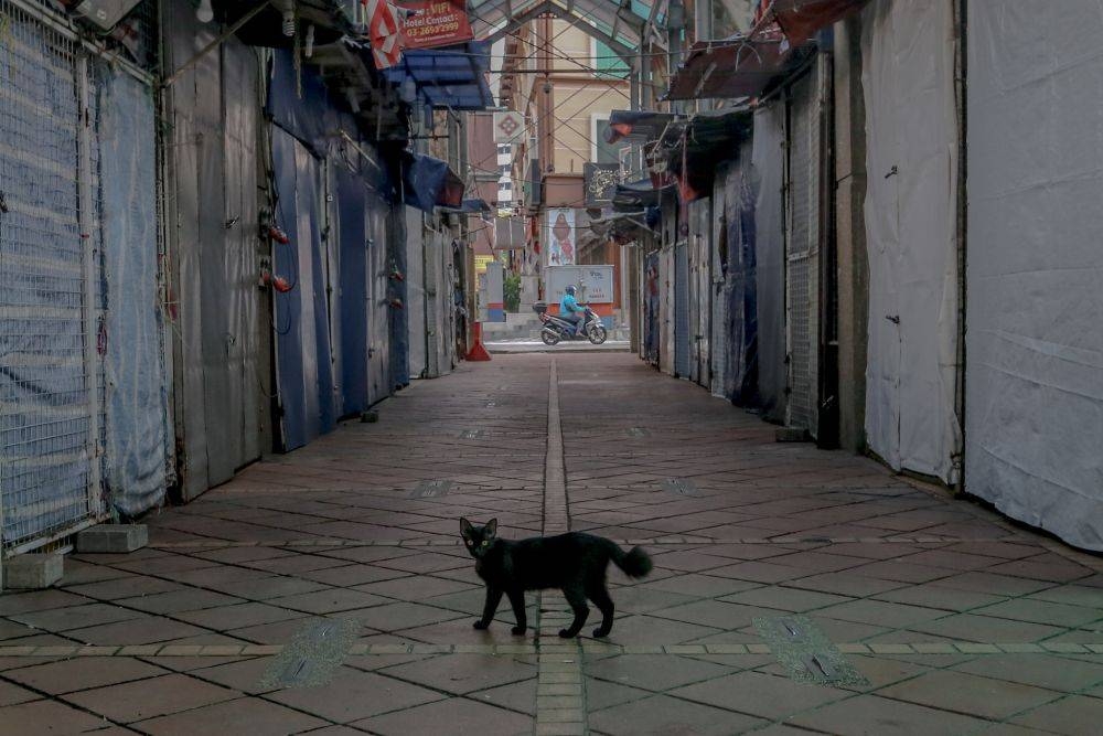 A cat strolls past closed shops lining Jalan Masjid India in Kuala Lumpur April 2, 2020. — Picture by Firdaus Latif