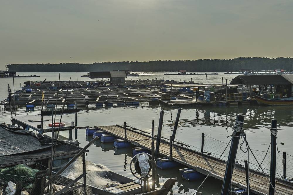 The shoreline is seen in this file photograph of a village in Pontian, Johor, from November 2019. — Picture by Shafwan Zaidon