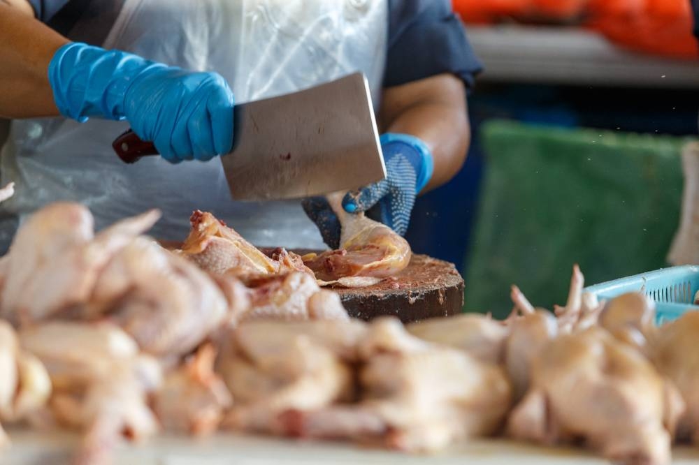 Effective July 1, the new ceiling price for chicken will be capped at RM9.40 per kg, according to the federal government. ― Picture by Devan Manuel