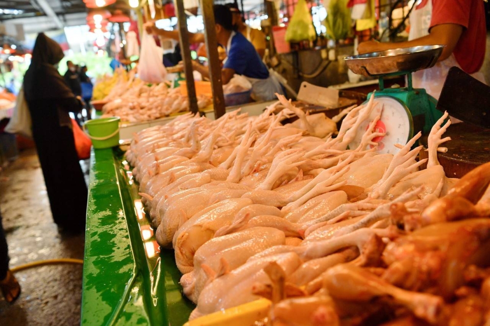 Traders in Kuching comply with ceiling price of chicken, eggs Malay Mail