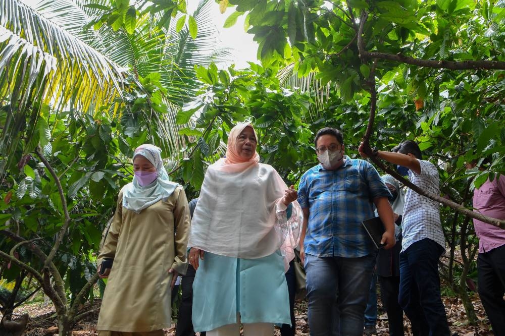 Plantation Industries and Commodities Minister Datuk Zuraida Kamaruddin (centre) is seen during a working visit to the Ting Agro Enterprise (TAE) cocoa farm in Kampung Panchor, Alor Gajah July 3, 2022. — Bernama pic