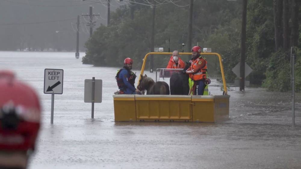 Sydney braces for more heavy rains and flash floods as thousands flee ...