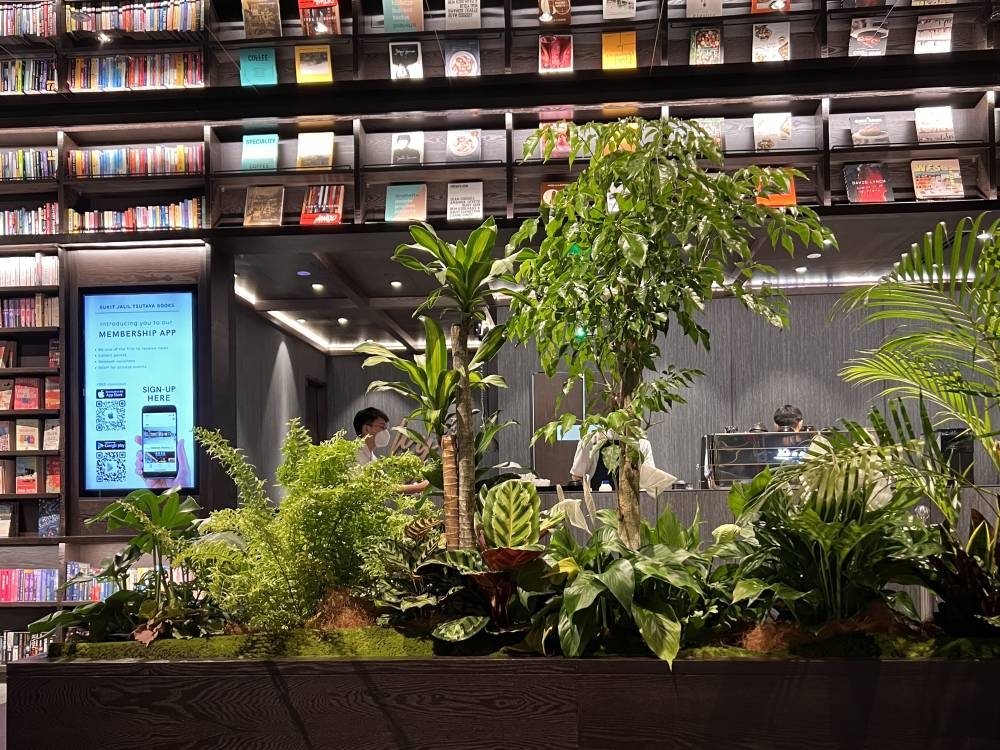 For a book store, Tsutaya has a lot of greenery. 