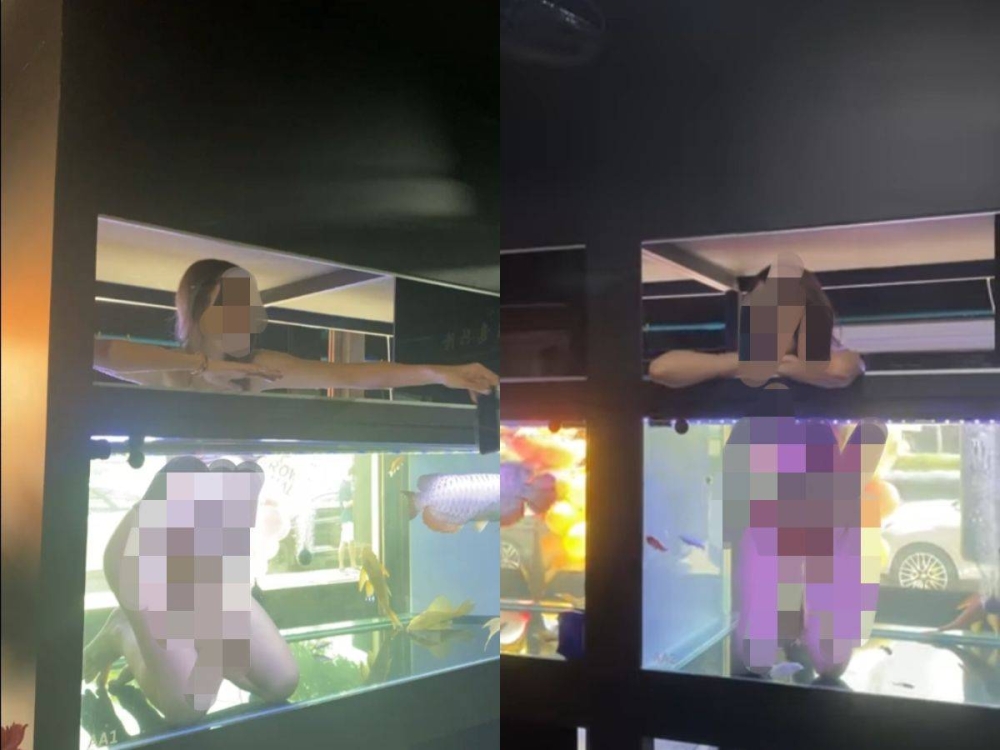An Arowana (dragon fish) fish store in Bangkok has been the talk of the town after a video of bikini babes inside their fish tanks have been circulating. —  Screenshot via Facebook/ Ratchatapan Chiaochan
