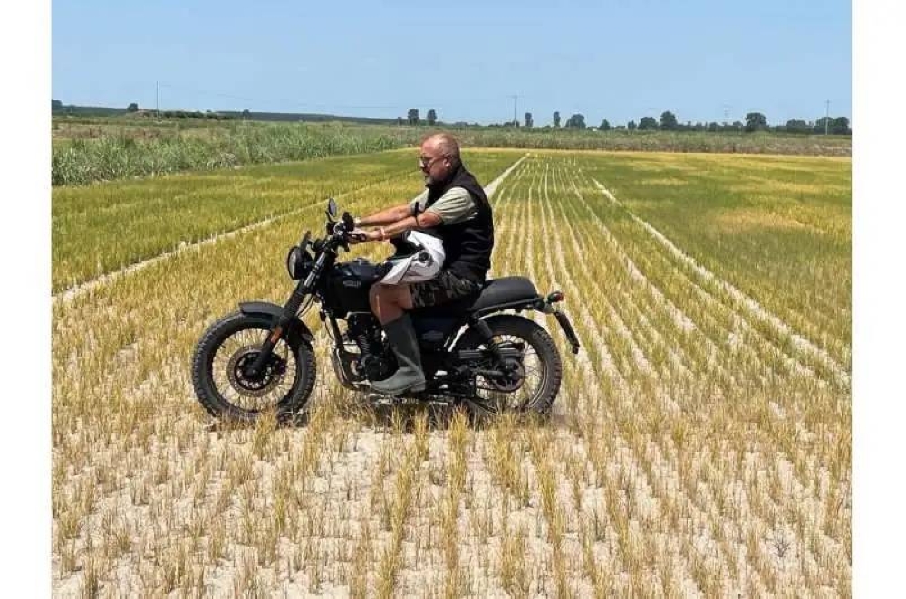 Italy's famous Po Valley rice paddies decimated by drought - Vimarsana News