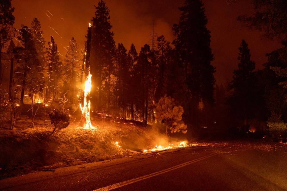Thousands evacuated as California wildfire grows - Vimarsana News