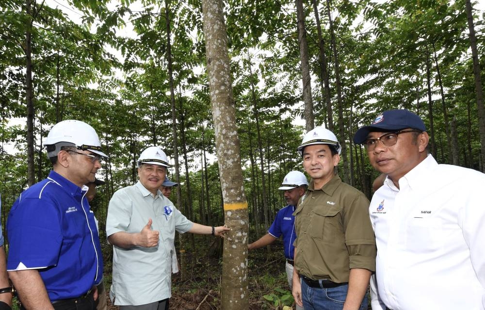 Sabah Chief Minister Datuk Seri Hajiji Noor is seen during a working visit to Jawala Plantation Industries Sdn Bhd in Sapulut, Pensiangan July 25, 2022. — Bernama pic