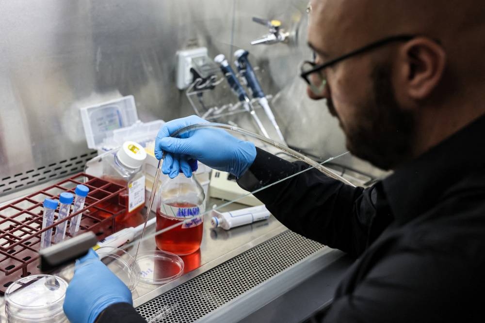 Dr Jacob Hanna injects a solution used for cell and tissue dissociation into a tray in a lab in the Israeli central city of Rehovot on August 4, 2022. — AFP pic