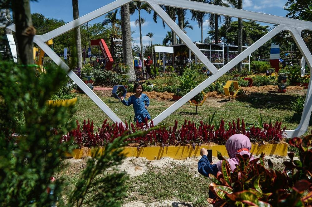 Agriculture Dept D-G: 'Miracle Garden' at Maha 2022 showcases over 20,000 plants - Vimarsana News
