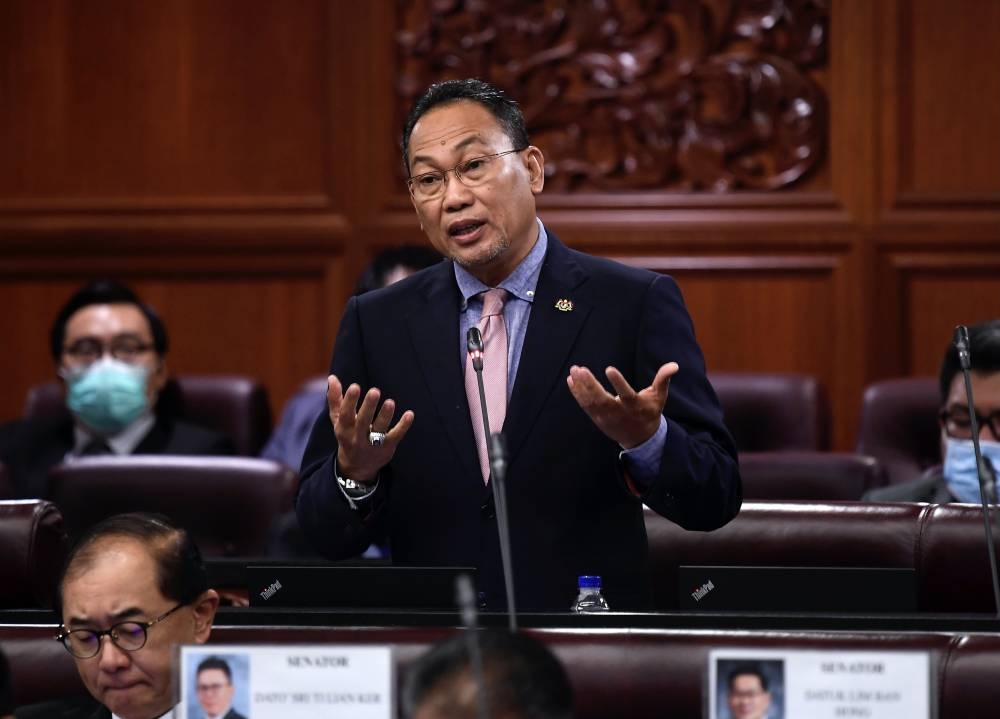 Deputy Minister of Human Resources Ministry Datuk Awang Hashim speaks in Dewan Negara, August 9, 2022. — Bernama pic