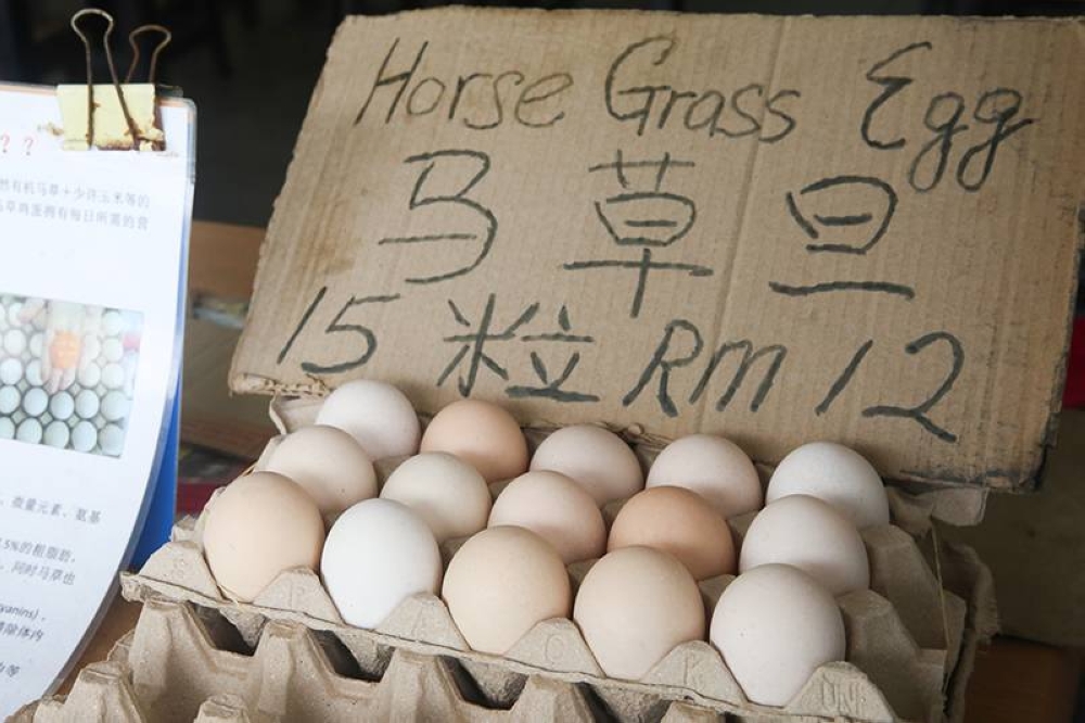 You can also purchase 'ma cao' or horse grass chicken fed eggs sourced from Bentong too.