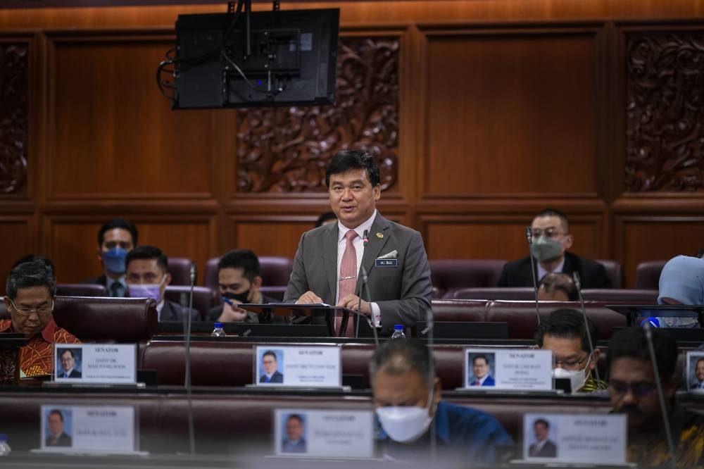 Energy and Natural Resources Deputy Minister Datuk Ali Biju at the Dewan Negara, August 11, 2022. — Bernama pic 