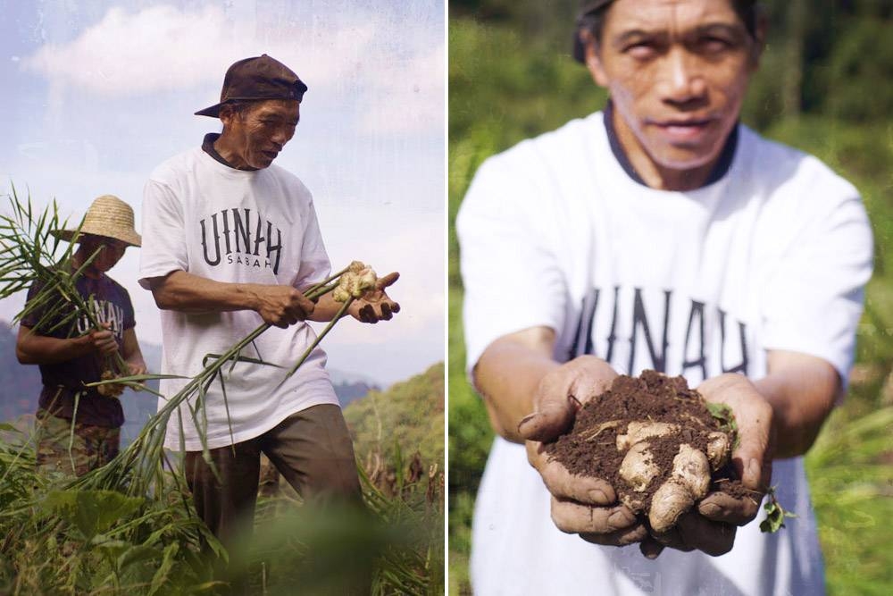 The hilly terrain of Tambunan is one of the factors behind the spicy Sabahan ginger.