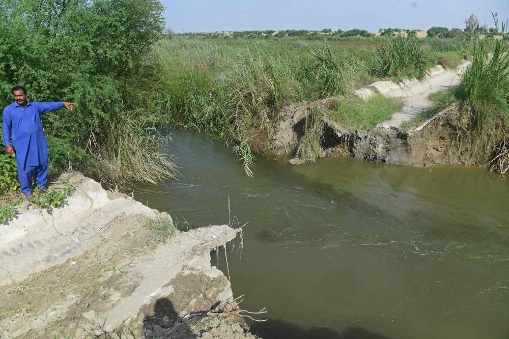 In this picture taken on September 1, 2022 a farmer Ashraf Ali Bhanbro shows his cotton crops damaged by flood waters at Sammu Khan Bhanbro village in Sukkur, Sindh province. — AFP pic