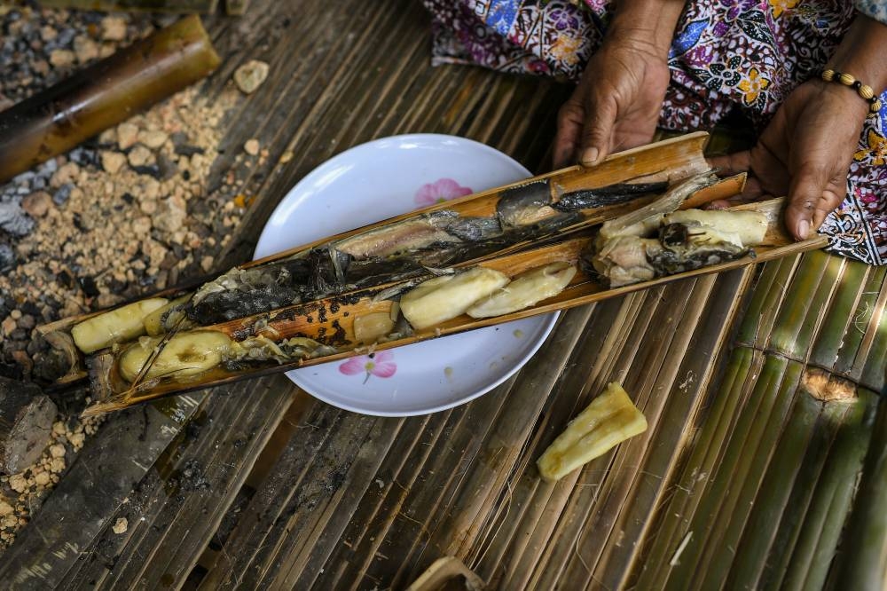 Bedah Alih Osman, 58, from the Temiar Orang Asli tribe shows fish and cassava prepared in bamboo to visitors attending the Kedah Malaysian Family Aspiration tour at the grounds of Darul Aman Stadium in Alor Setar September 4, 2022. — Bernama pic