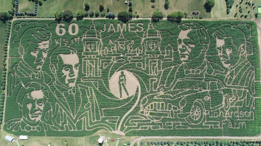 General view of the 'world's largest corn maze' celebrating the 60th anniversary of James Bond, in Spring Grove, Illinois, September 8, 2022. — Reuters pic