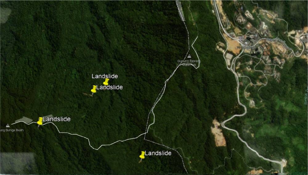 If all the projects go through, Selangor would lose large areas of forests that could sequester up to 16,986 tonnes of CO2 a year, according to RPD's carbon accounting methodology. ― Picture courtesy of Rimba Disclosure Project