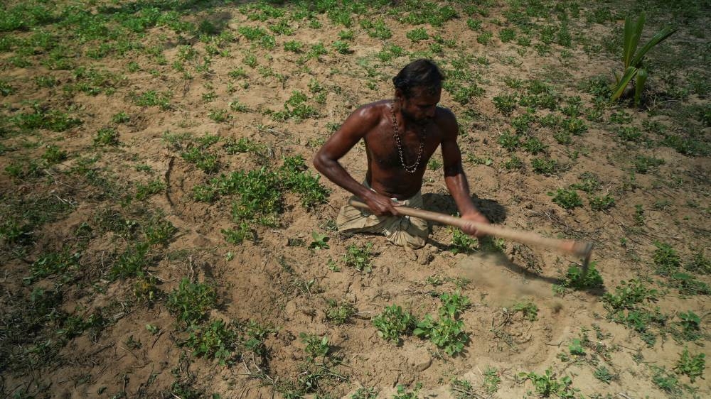 Singaram Soosaiyamutthu, a 44-year-old labourer who lost both his legs during Sri Lanka’s civil war, digs a spade into farmland he’s rented to plant peanuts in Mullaitivu, Northern Province, Sri Lanka, August 13, 2022. — Reuters pic