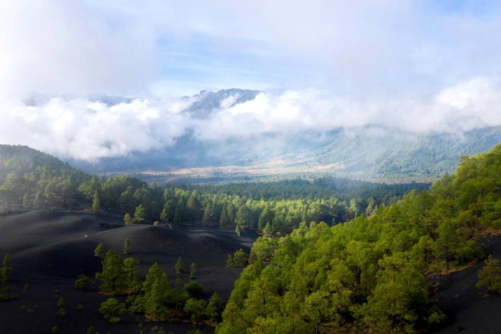 'Like a new planet': Volcano draws visitors to Spanish isle - Vimarsana News