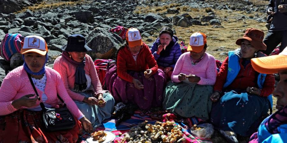 Aymara indigenous women members of the Climbing Cholitas of Bolivia Warmis eat a traditional feast before starting their ascent of the 6.088-metre Huayna Potosi mountain. — AFP pic