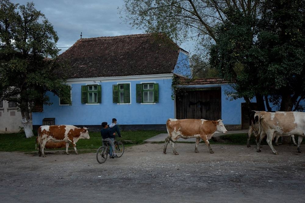 Transylvanian village shines under new British king's patronage - Vimarsana News