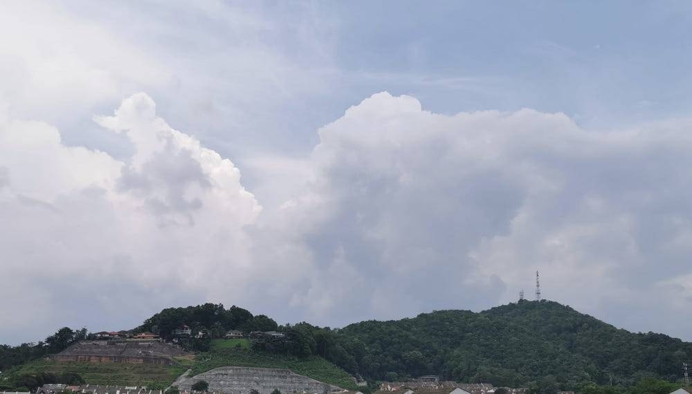 Bukit Dinding was originally a plantation. Its owners later diversified into real estate development following a common business practice among large plantation companies to convert plantation land into housing and towns. — Picture from Facebook/Friends of Bukit Dinding 