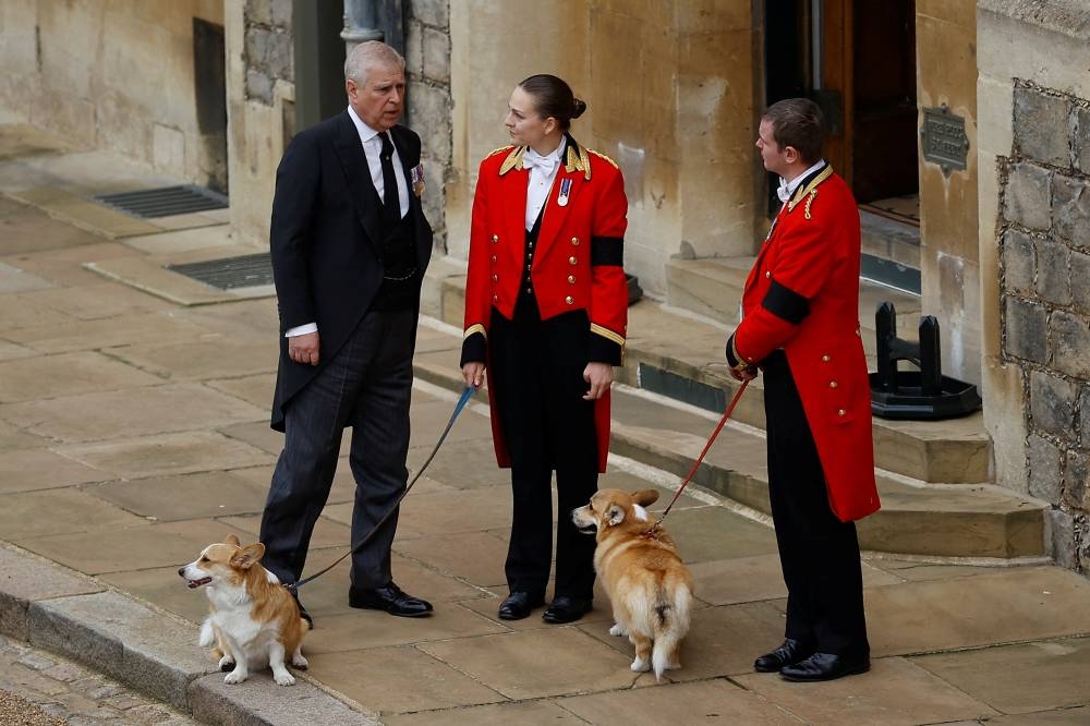 Britain's Prince Andrew with royal corgis as they await the cortege on the day of the state funeral and burial of Britain's Queen Elizabeth, at Windsor Castle in Windsor September 19, 2022. — Reuters pic