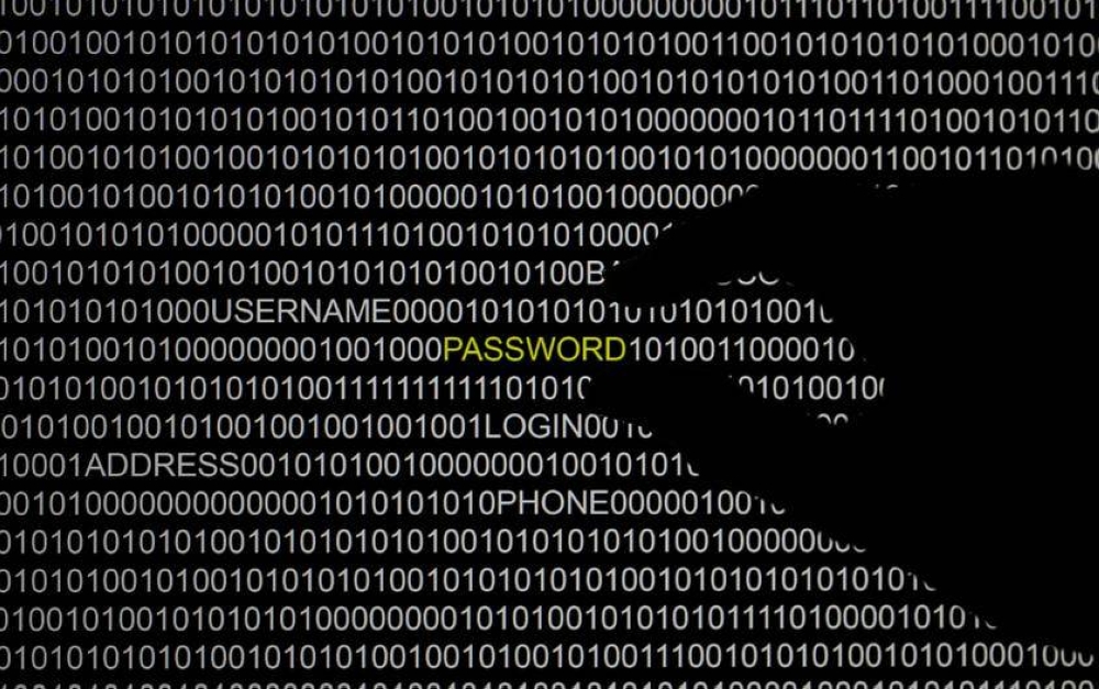 File picture illustration of the word 'password' pictured on a computer screen, taken in Berlin May 21, 2013. — Reuters pic