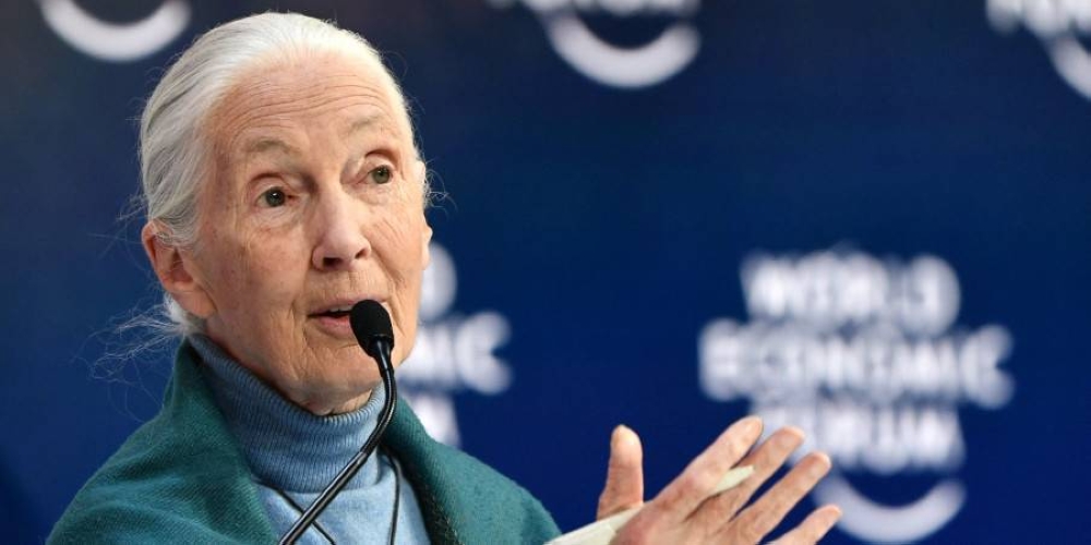 Jane Goodall UN Messenger of Peace, speaks at the Securing a Sustainable Future for the Amazon, during the World Economic Forum in Davos, Switzerland. ― ETX Studio pic