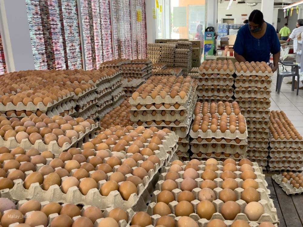 Only eggs that were subject to price controls are experiencing a shortage in the market due to government subsidies allegedly not being attractive enough for producers, said Special Task Force on Jihad Against Inflation chairman Tan Sri Annuar Musa. — Picture By Devan Manuel