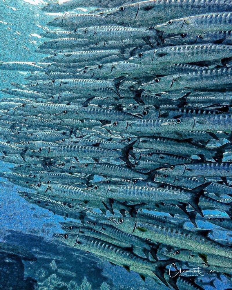 Semporna is widely known as the jump-off point to many beautiful islands including the world-famous Sipadan. ― Picture by Clement Lee